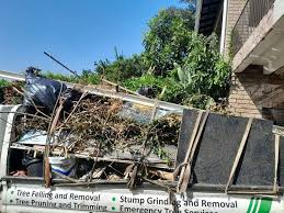 Best Furniture Removal  in Ferrysburg, MI