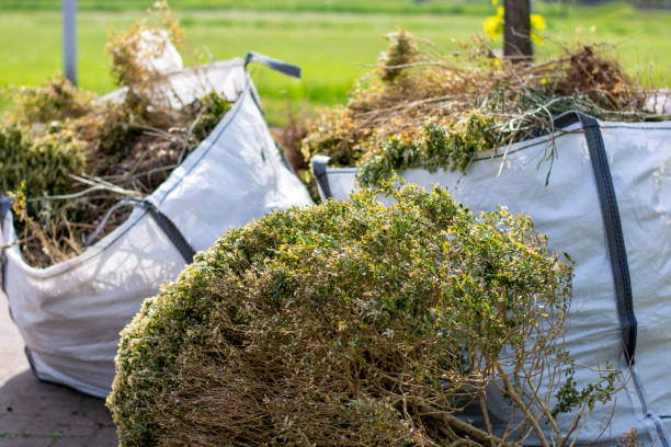 Best Property Management Cleanouts  in Ferrysburg, MI