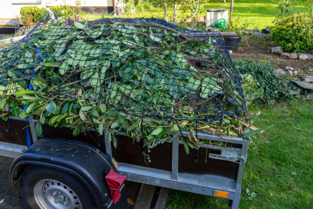 Best Dumpster Rental Services  in Ferrysburg, MI